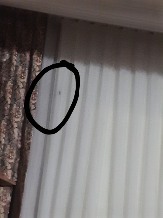 Yeni sahiplendiği hayvan çok tatlı değil mi?