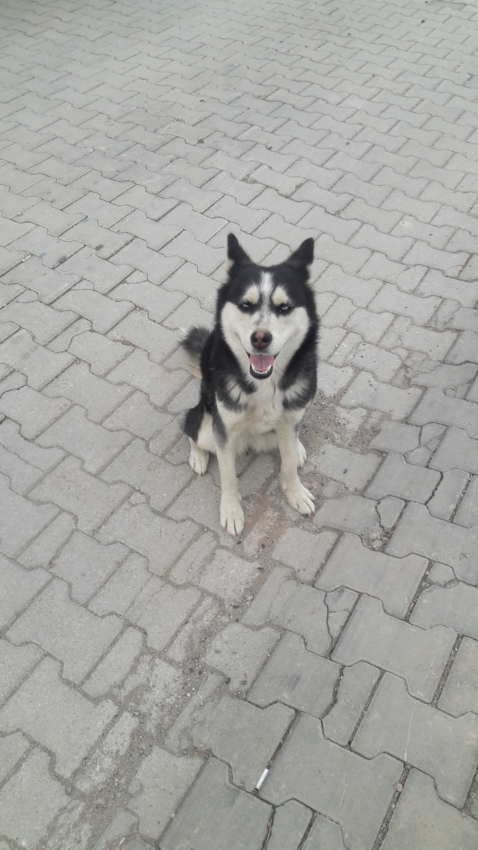 Çektiğiniz son güzel fotoğrafı bırakır mısınız?