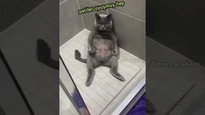 Tanıdığınız, tanımadığınız selam verildiğinde alır mısınız?