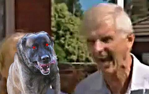Köpek havladı diye üç kişiyi kurşuna dizdi! Köpek görünce ne yapıyorsunuz?