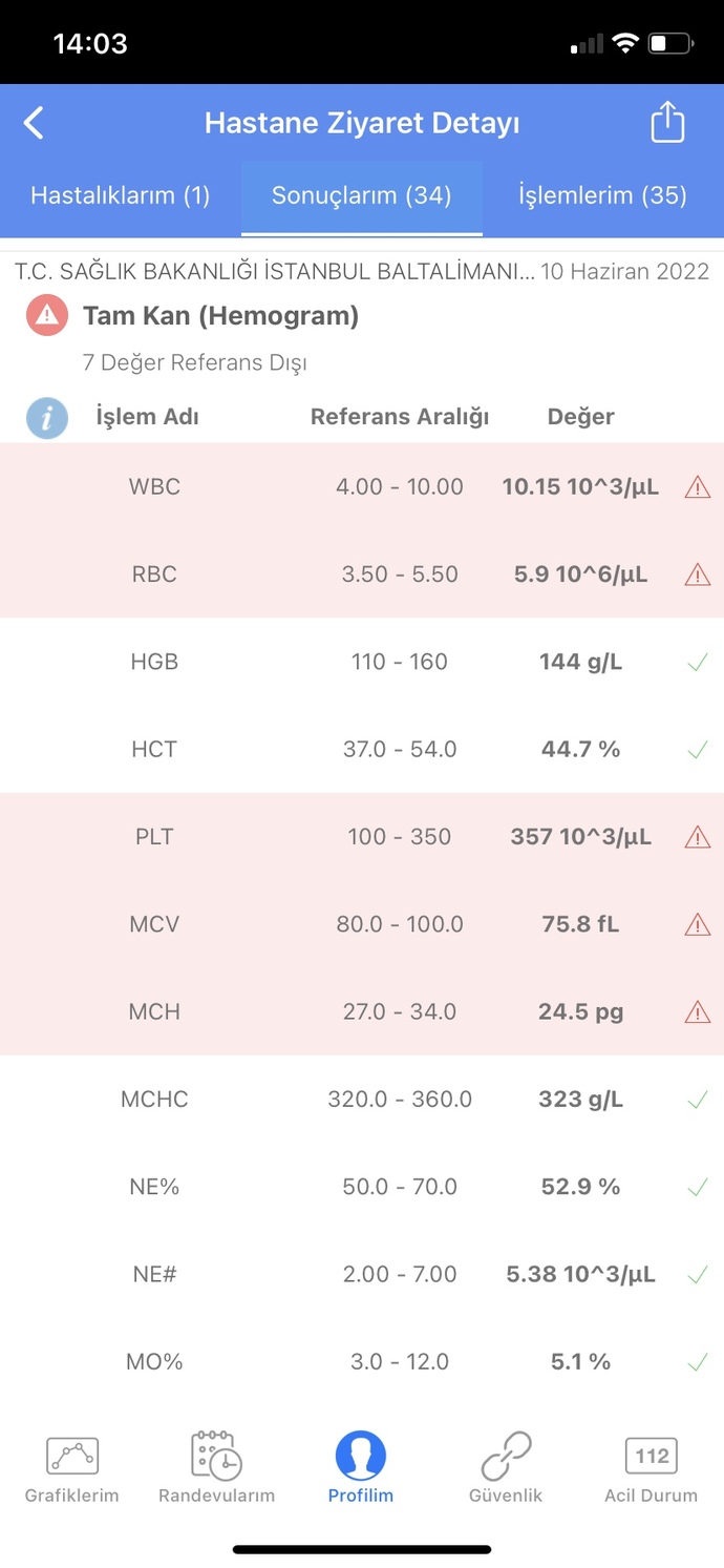 Bu değerler normal mi yüksek olan neler?