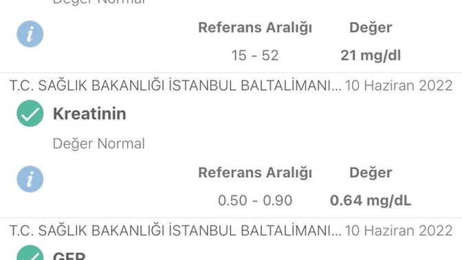 Bu değerler normal mi yüksek olan neler?
