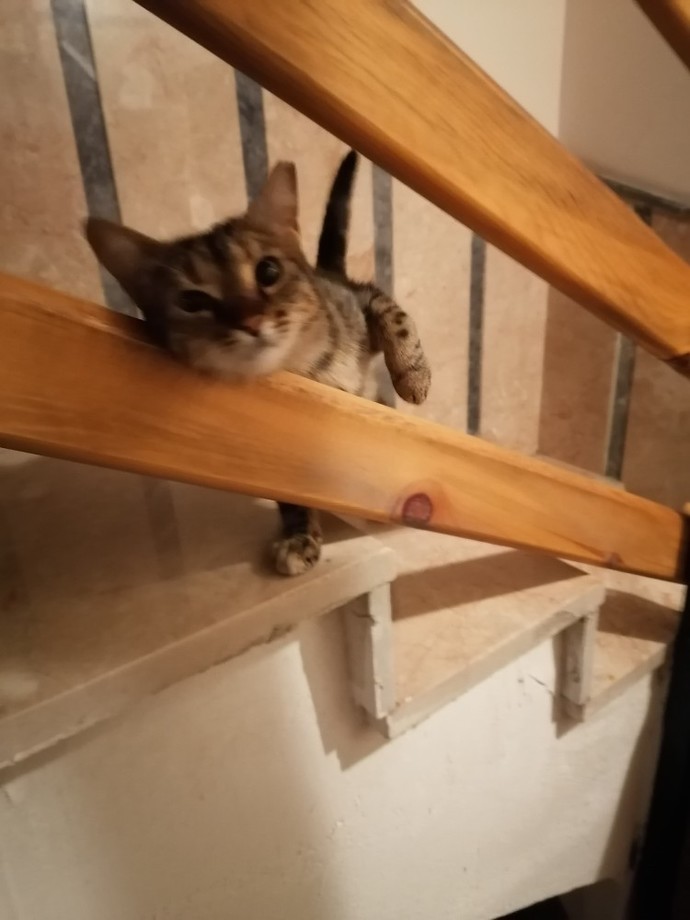 Apartmanda yabancı birine denk geldiniz mi?