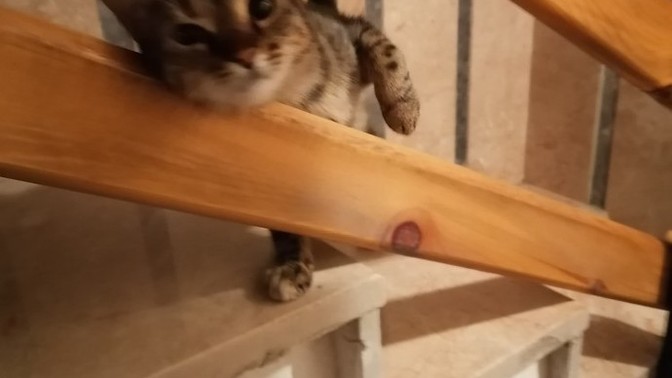 Apartmanda yabancı birine denk geldiniz mi?