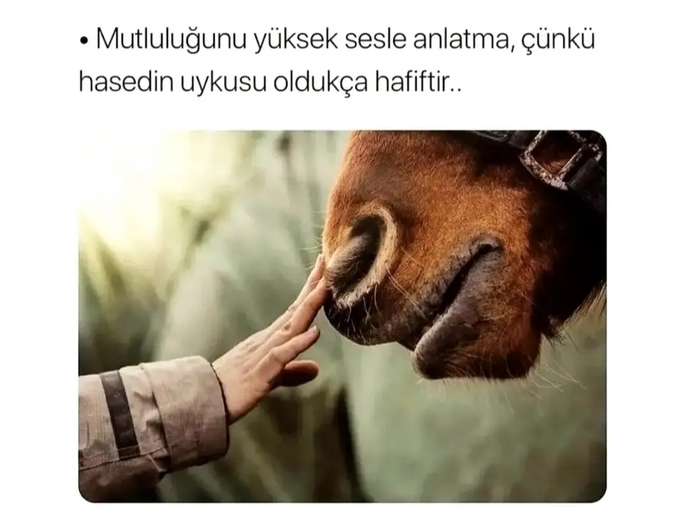 İnsanlar birbirlerinin mutluluğunu neden çekemez?