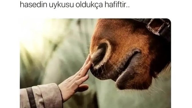 İnsanlar birbirlerinin mutluluğunu neden çekemez?