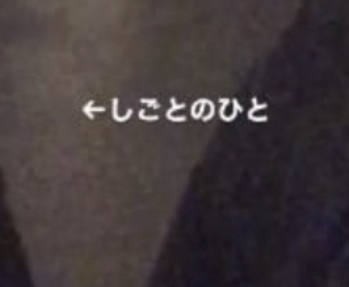 Japonca bileniniz var mı?