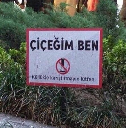 Sizi neyle karıştırdılar?