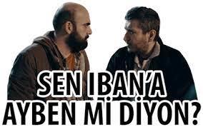 Amerika'dan Fast yapılır mı IBAN'a?