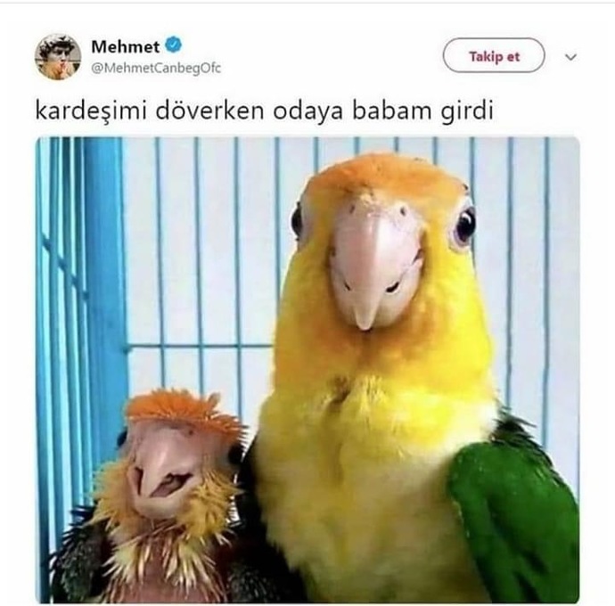 Kardeşler arasında çıkan çatışmaya anne baba karışmalı mı?