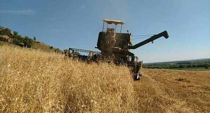Tarım ve Orman Bakanı Vahit Kirişçi, Türkiye’nin Venezuela’da buğday üreteceğini açıkladı. Ne düşünüyorsunuz?