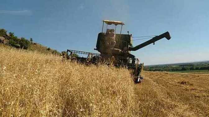 Tarım ve Orman Bakanı Vahit Kirişçi, Türkiye’nin Venezuela’da buğday üreteceğini açıkladı. Ne düşünüyorsunuz?