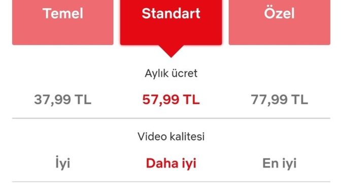 Hangi Netflix planını kullanıyorsunuz?