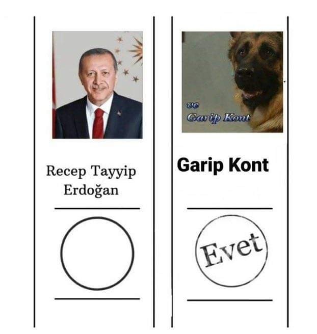 Bu sene oyunuz kime?