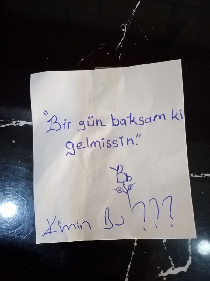 Sağa sola küçük notlar yazıp bırakır mısınız?