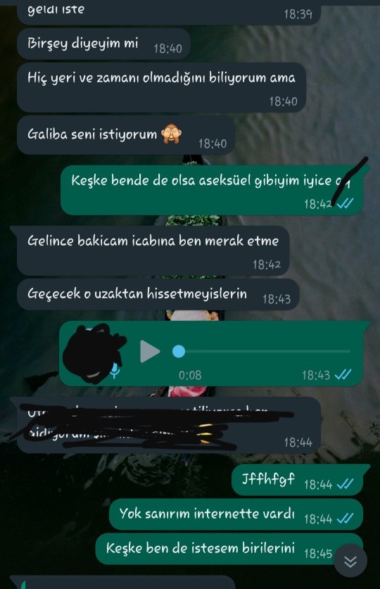 Yerimde olsanız napardınız, engelledim, haksız mıyım?