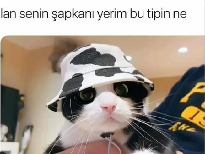 Yazın şapka takmayı seviyor musunuz?