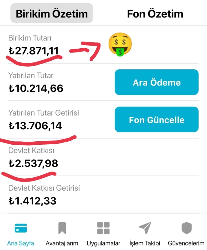 Bireysel Emeklilik Sistemini kullanıyor musunuz?