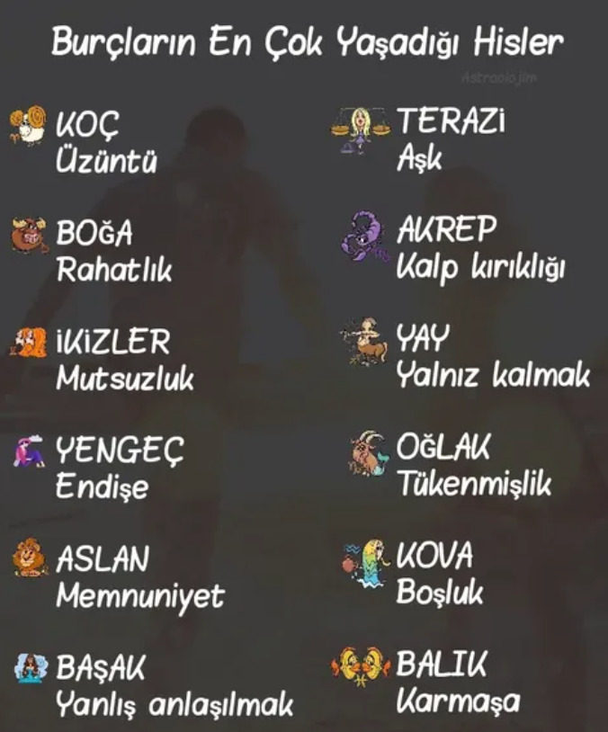 Burcuna göre en çok ne hissediyorsun?