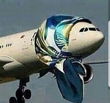 Siyasetin yeni polemiği Turkish Airlines oldu. Sizce uçağın gövdesinde nasıl bir isim olmalı ?