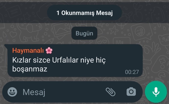 En son aldığınız mesaj nedir?