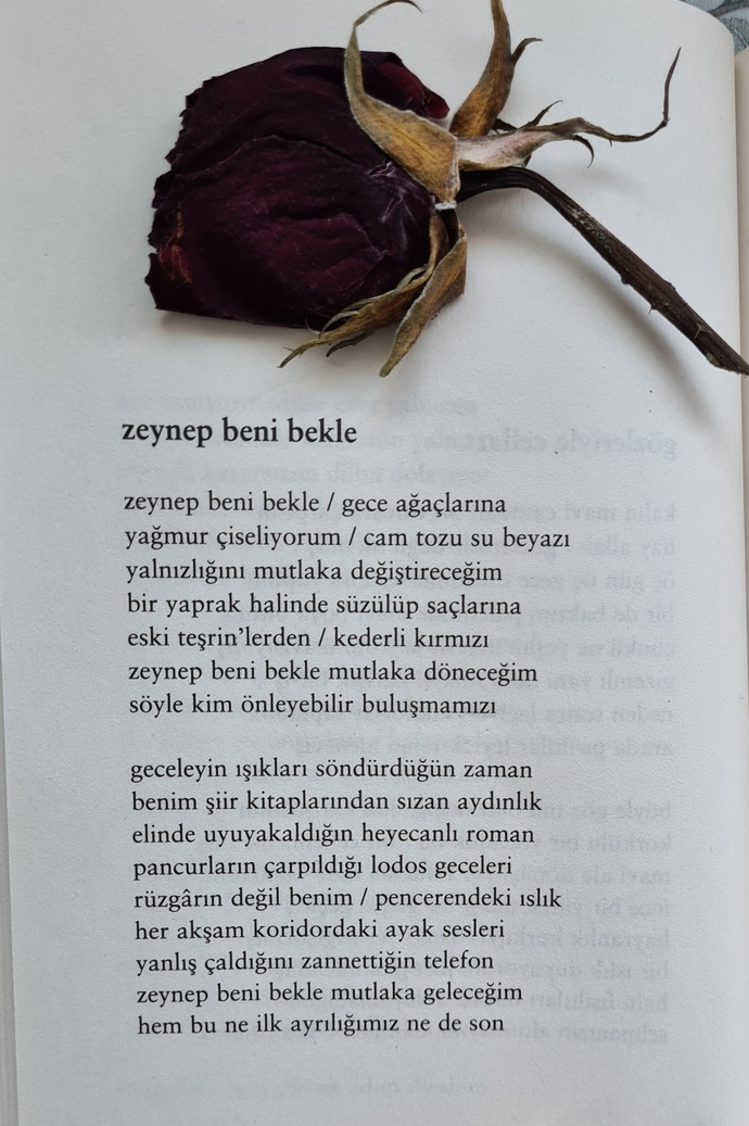 Bugün Atilla İlhan'ın doğum günü. Atilla İlhan'ı sever misiniz?