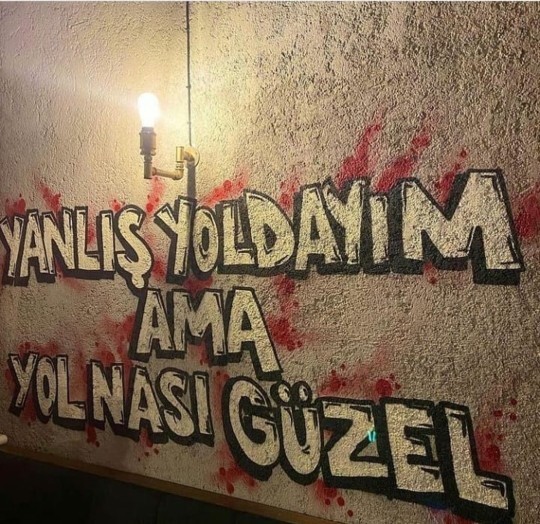 Deneyerek mi öğrenirsiniz, tecrübeleri dikkate alarak mı?