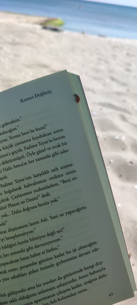 Uğur böceği gerçekten uğur getiriyor mu?