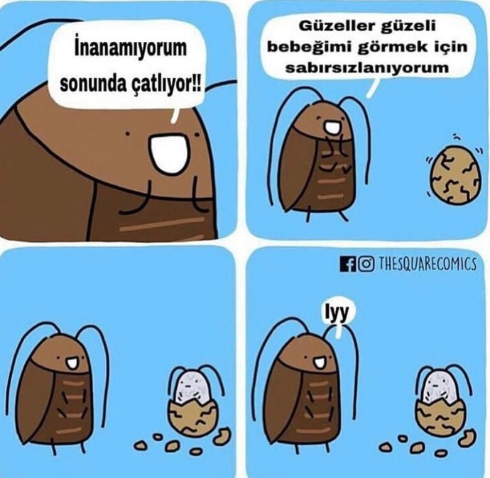 Komik şeyleri sever misiniz?