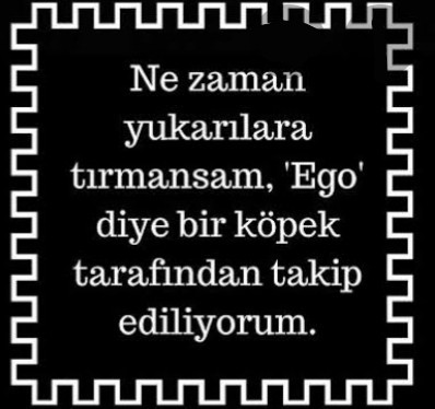 Siz egolu musunuz?