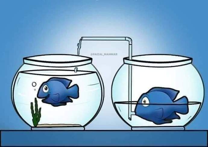 Sizce bu resim ne anlatıyor?