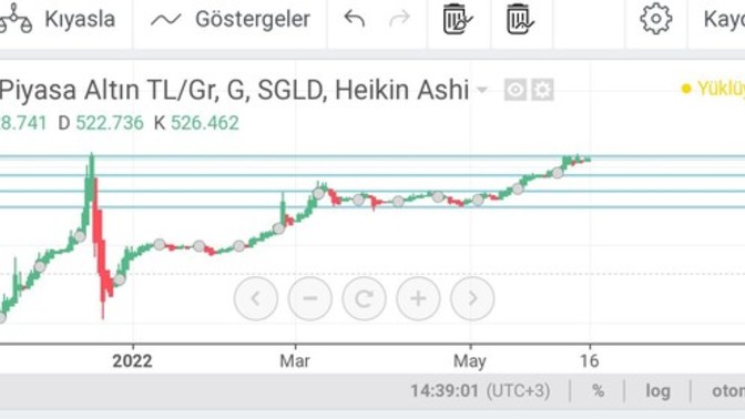 Sizce gram altın tekrar 900-950₺ bandına temas eder mi?