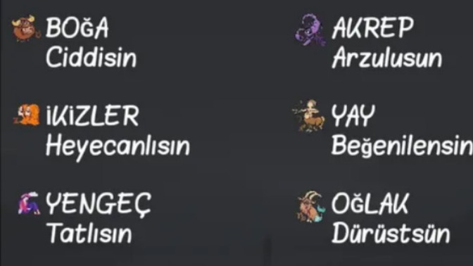 Burcuna göre sen tam olarak nesin😂?