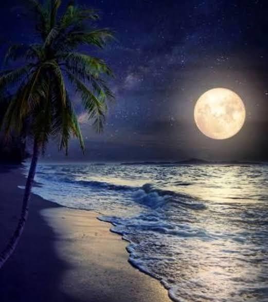 Gece denize girmeyi seviyor musunuz?