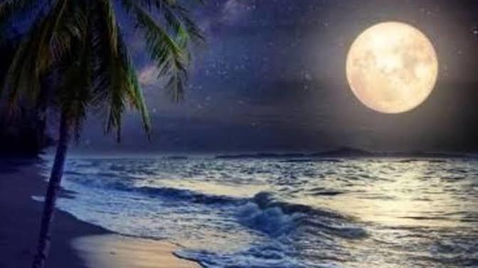 Gece denize girmeyi seviyor musunuz?