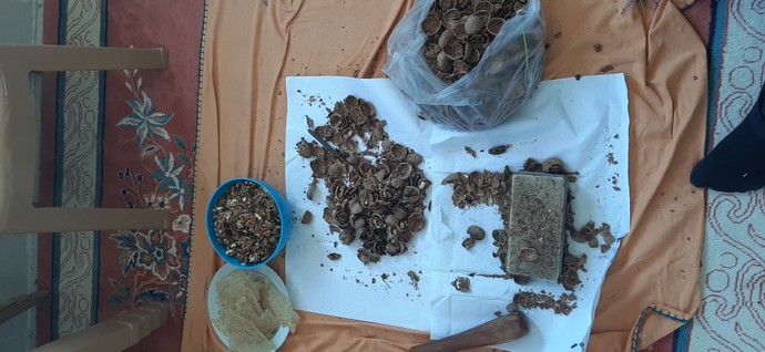 Merhaba kizlsixe bir şey soracağım ama dürüst olmanızı bekliyorum?