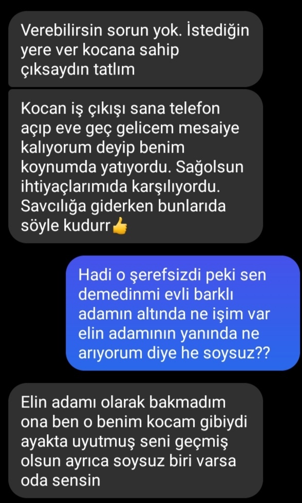 Elimde ki bu kanıtlarla tek celsede boşanabilir miyim?