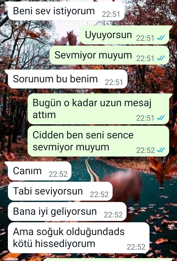 Sevgilim bu mesajda ne demek istemiş?