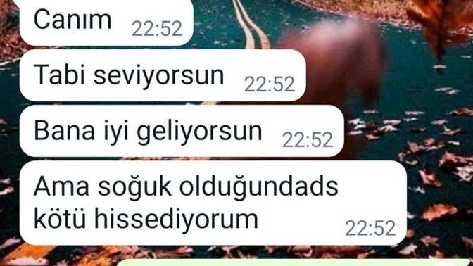 Sevgilim bu mesajda ne demek istemiş?
