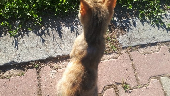 Tek başınıza gezmeyi seviyor musunuz?