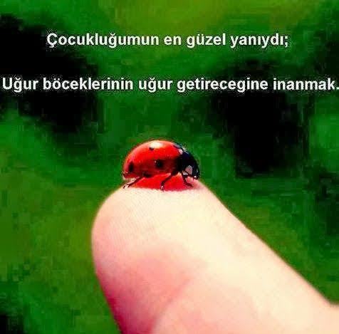 Küçükken en masumca inandığınız şey neydi?