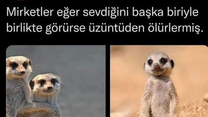 En son ne zaman üzüntüden ölecek gibi oldunuz?