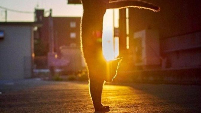 Motivasyon kaynağınız olan spor ancak ne olabilir?