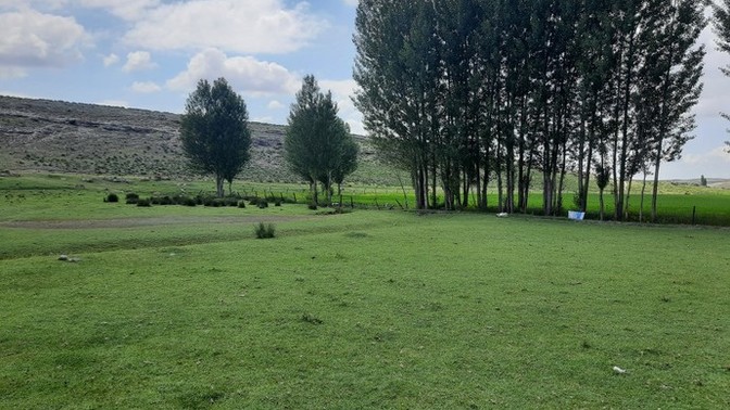 Köyde yaşayabilir misin?