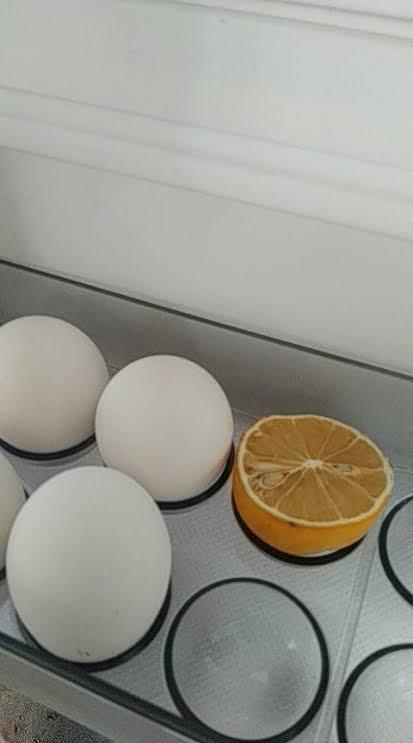 Buz dolabınızda yarım limon hariç ne var 🍋 ?