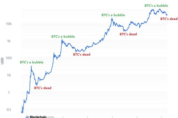 Bitcoin sizce balon mu? Ya da Fıat paraların yerini mi alacak?