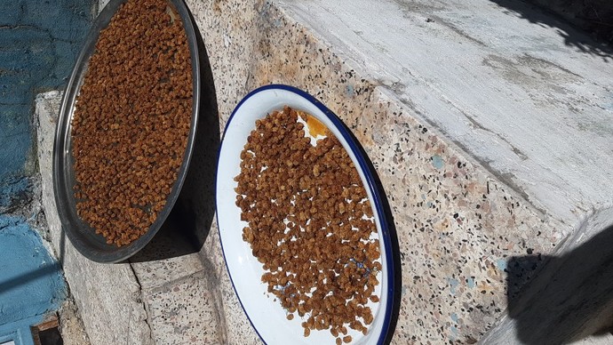 Kuru meyve sebze sever misiniz?