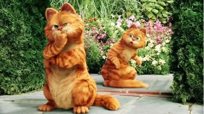 Sinema sektörü köpeklere düşkünlüğü kadar neden kedilere aynı oranda yaklaşmıyor?