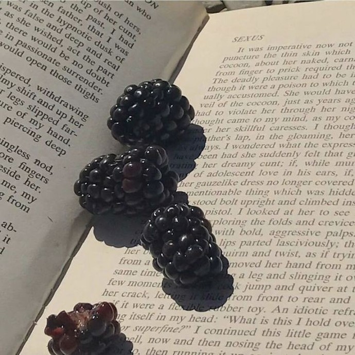 Her yıl olsa yerim dediğiniz meyve var mı?
