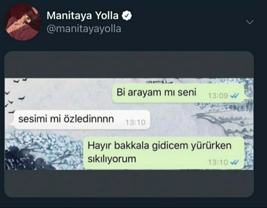 Bir yere giderken ya da  yürüyüş yaparken telefonla konuşma ihtiyacı hisseder miydiniz?